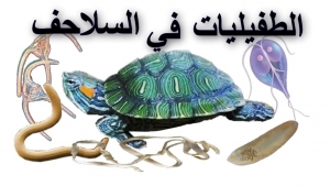 الطفيليات (الديدان) التي تعيش داخل السلاحف