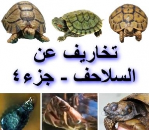 تخاريف عن السلاحف – الجزء الرابع