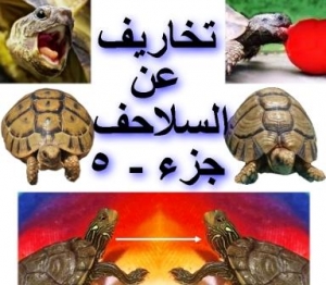 تخاريف عن السلاحف – الجزء الخامس
