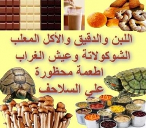 الحليب والدقيق والأكل المعلب والشوكولاتة وعيش الغراب اطعمة محظورة على السلاحف 