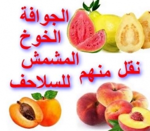 الخوخ والمشمش والجوافة يفضل الإقلال منهم للسلاحف
