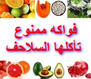فواكه ممنوع تأكلها السلاحف
