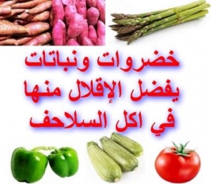 خضروات ونباتات يفضل الإقلال منها في أكل السلاحف