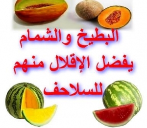 البطيخ والشمام يفضل الإقلال منهم للسلاحف