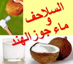 تأثير ماء جوز الهند على ترطيب السلاحف