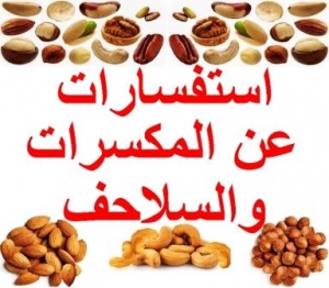 استفسارات عن السلاحف والمكسرات  