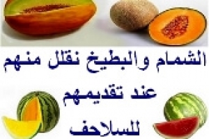 البطيخ والشمام يفضل الإقلال منهم للسلاحف والأسباب العلمية لذلك