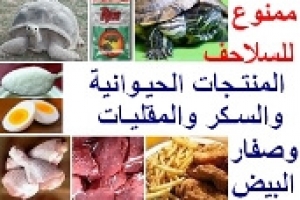 السكر والمنتجات الحيوانية وصفار البيض والمقليات ممنوع تأكلها السلاحف