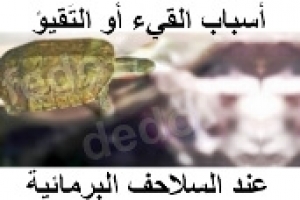 أسباب القيء عند السلاحف البرمائية: دليلك لفهم التشخيص والعلاج