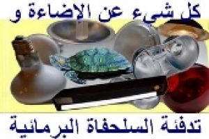 كل شيء عن الإضاءة والتدفئة اللازمة للسلحفاة البرمائية