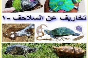 تخاريف عن السلاحف – الجزء الأول