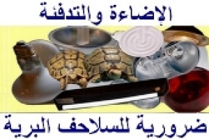 الإضاءة والتدفئة الضرورية للسلاحف البرية