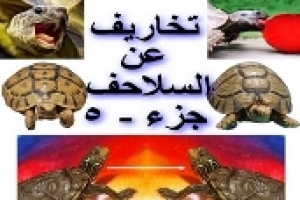تخاريف عن السلاحف – الجزء الخامس