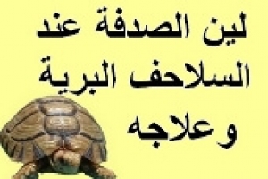 لين صدفة السلحفاة البرية وعلاجه