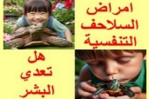 هل أمراض السلاحف مثل الإنفلونزا والالتهاب الرئوي معدية للبشر؟